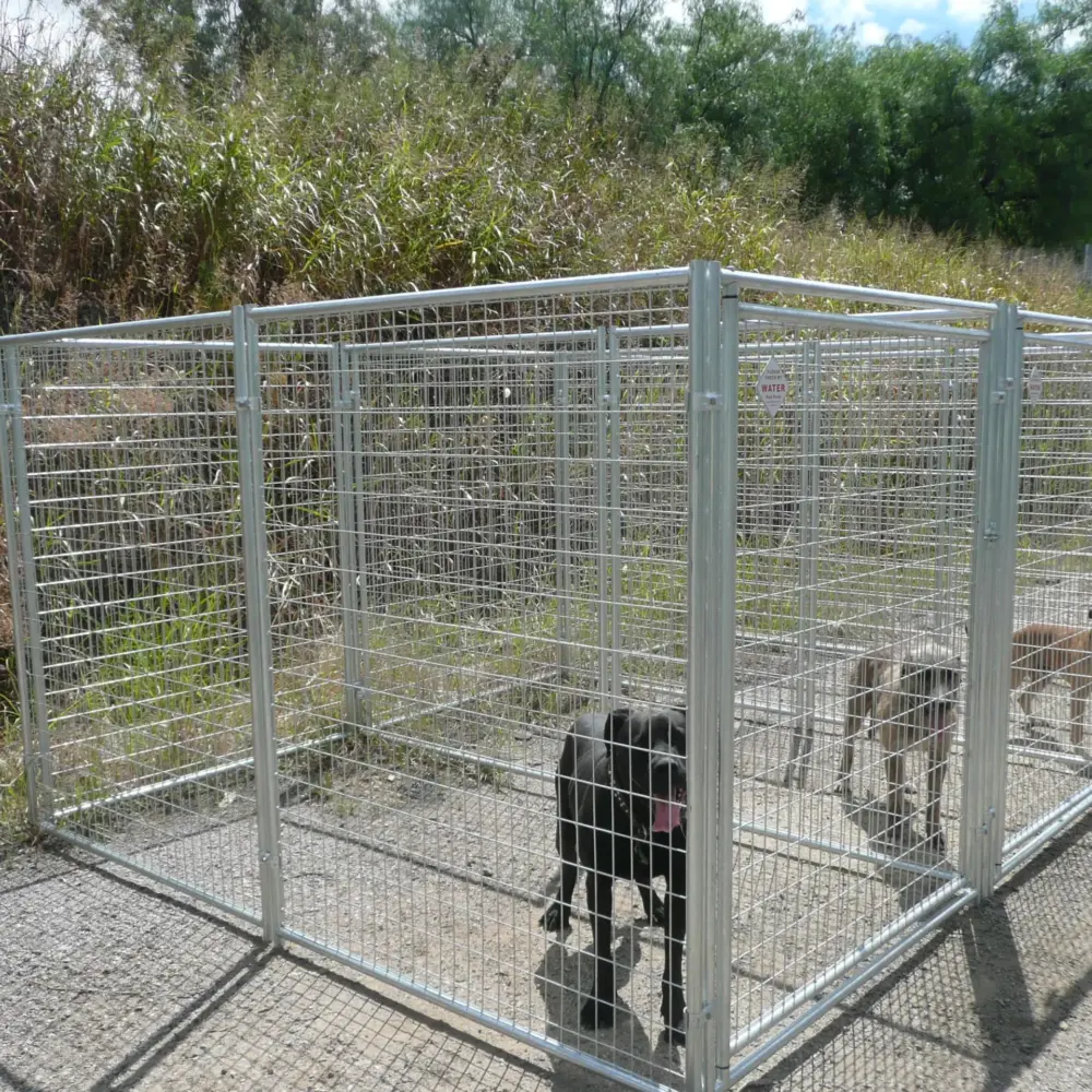 Dog Cages
