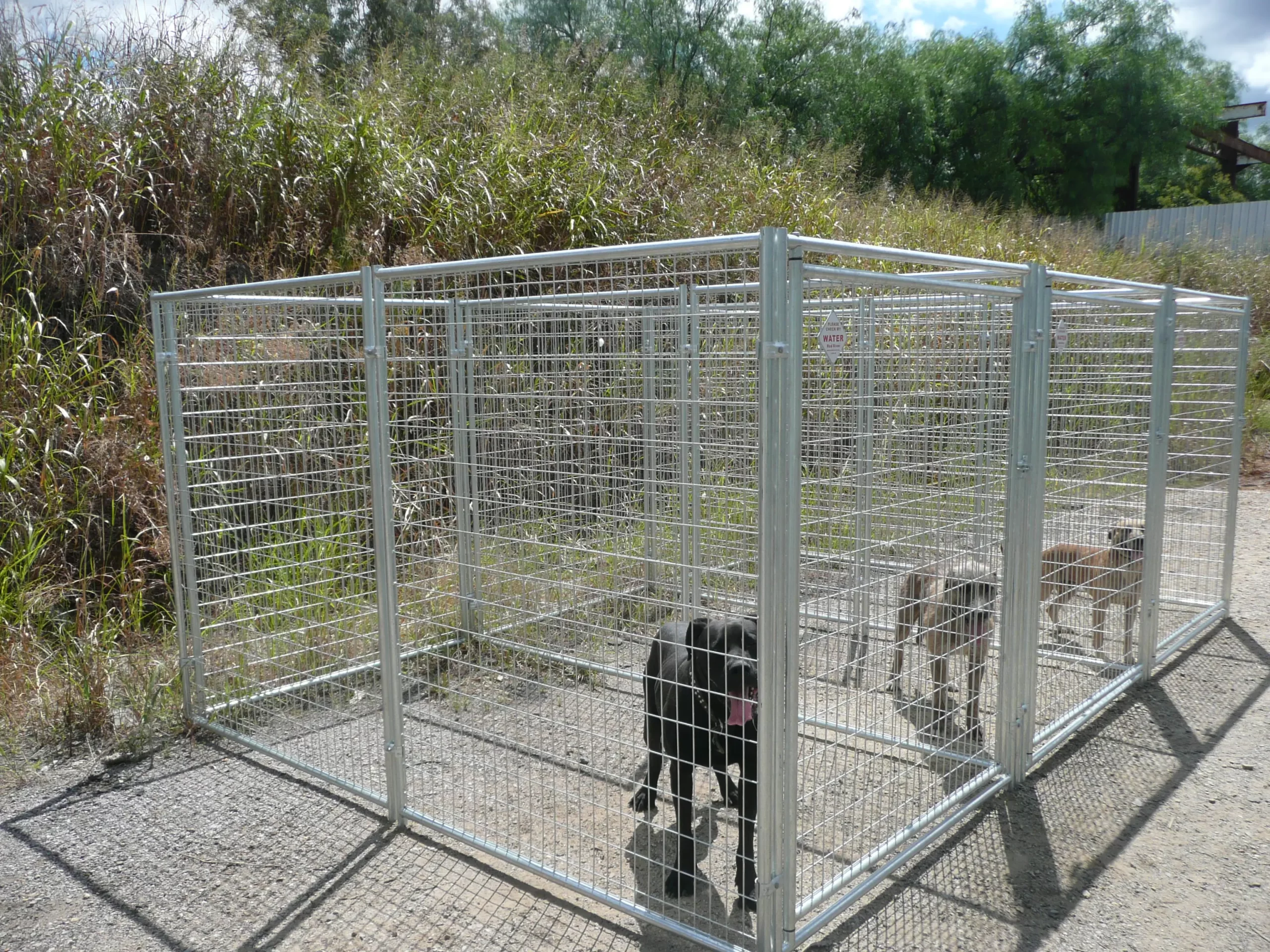 Dog Cages