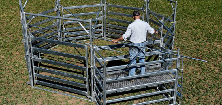 Innovative Cattle Handling Products That Can Help Improve Farm Safety