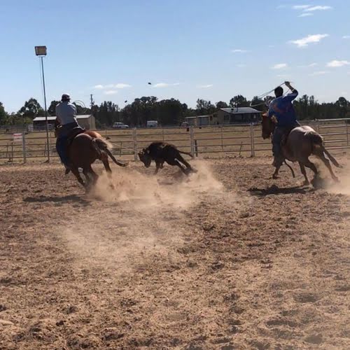 Horse Arenas