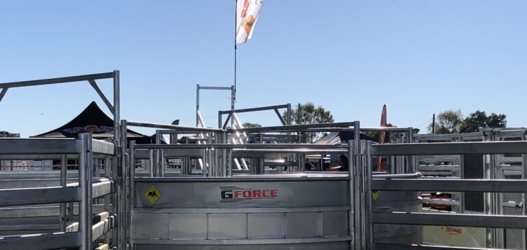 Essential Cattle Handling Equipment Every Farm Should Have
