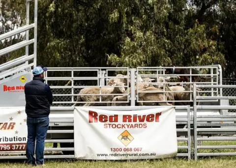 Step-by-Step Guide to Setting Up Your Livestock Yards Efficiently