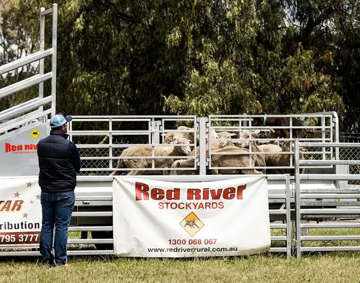 How Our Modern Livestock Equipment Can Improve Farm Operations