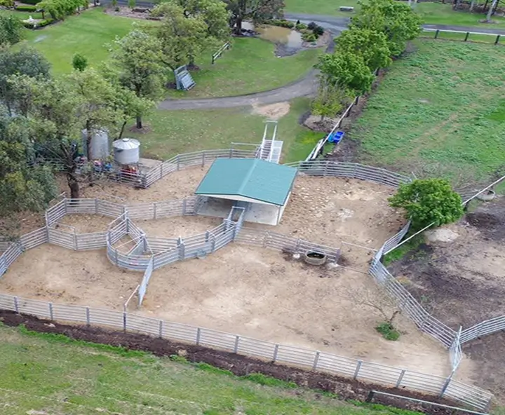 Designed Around Livestock Flow and Handler Safety